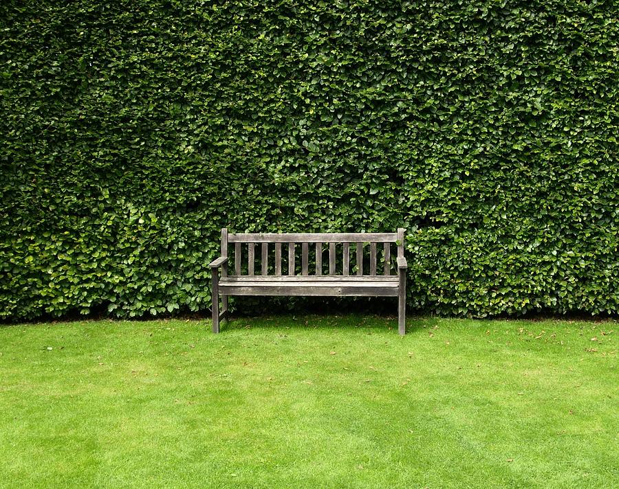 Bench At The Historic Topiary Garden In Photograph by Tony Worrall Foto
