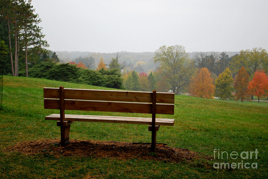Bench at the Morton Arboretum Photograph by Nancy Mueller