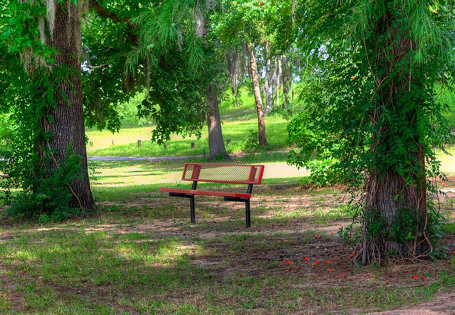 Bench At The Park Photograph by Ester McGuire
