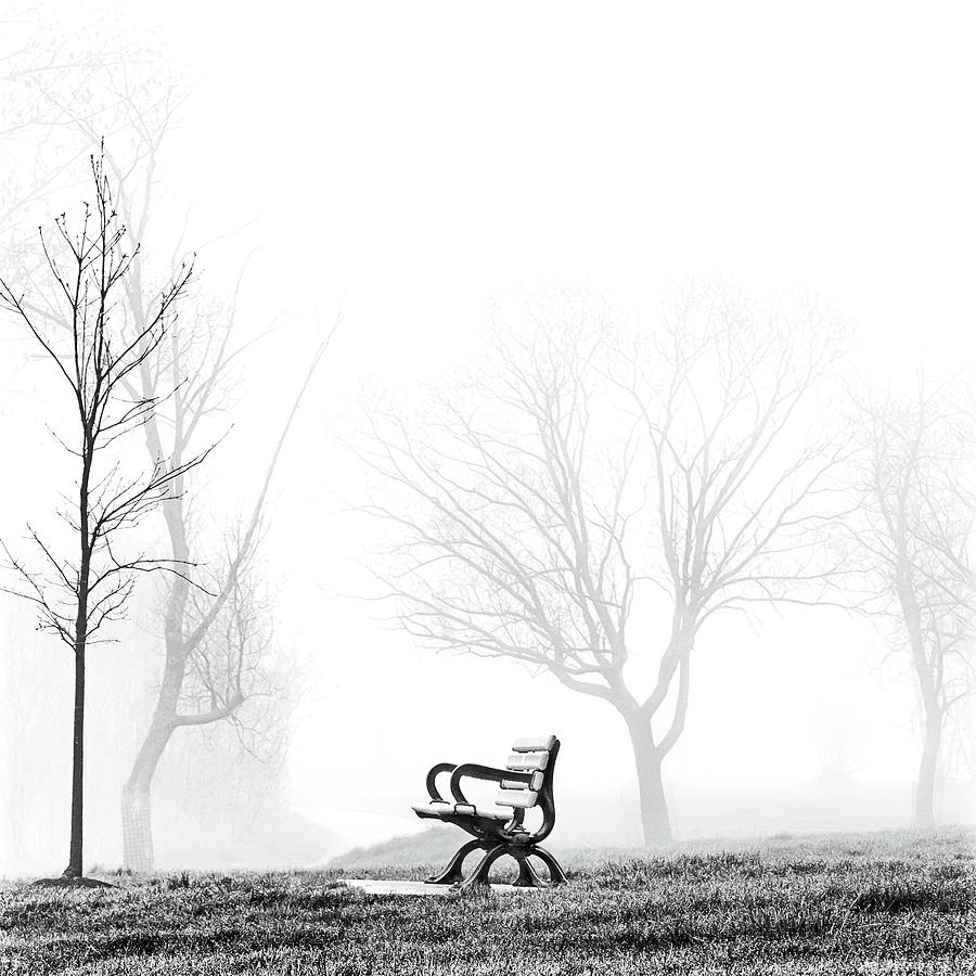 Abstract Photograph - Bench by Brian Carson