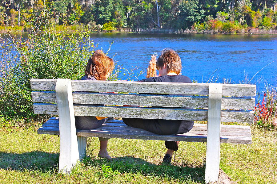 Bench By The River Photograph