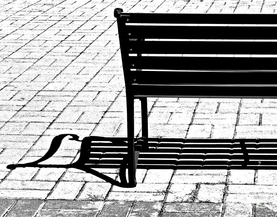 Bench Clef Photograph by Rebecca Cozart