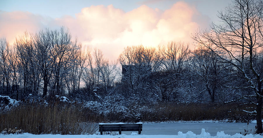 Winter Photograph - Bench for Two by Christy Pollard