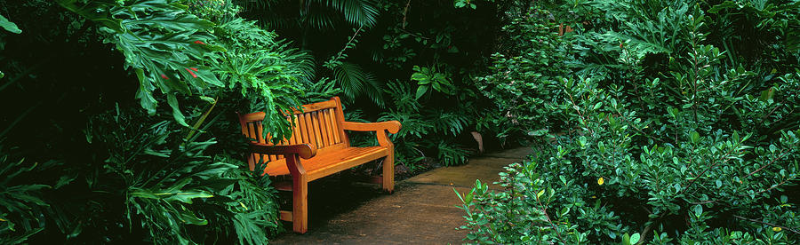 Bench In A Garden, Sunken Gardens Photograph by Panoramic Images