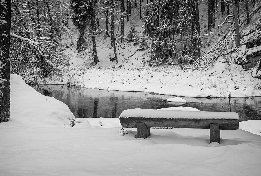 Bench in Snow Photograph by Shirley Radabaugh