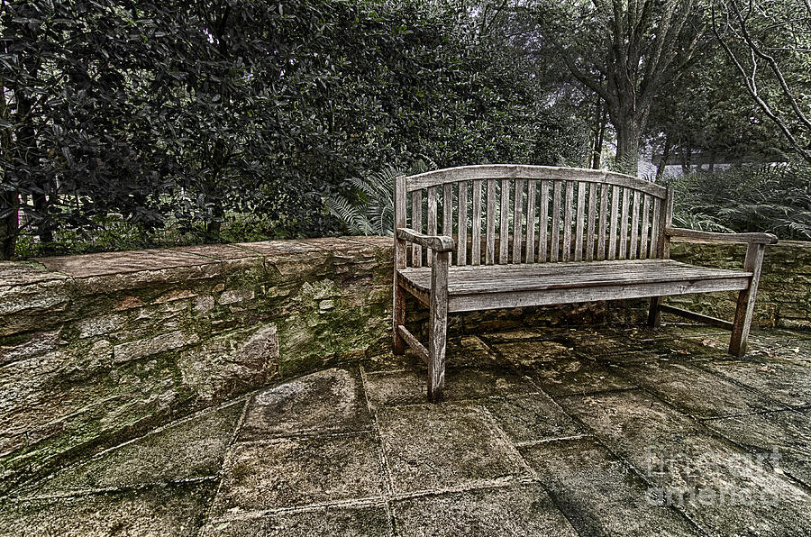 Bench in the Garden Photograph by Danny Hooks