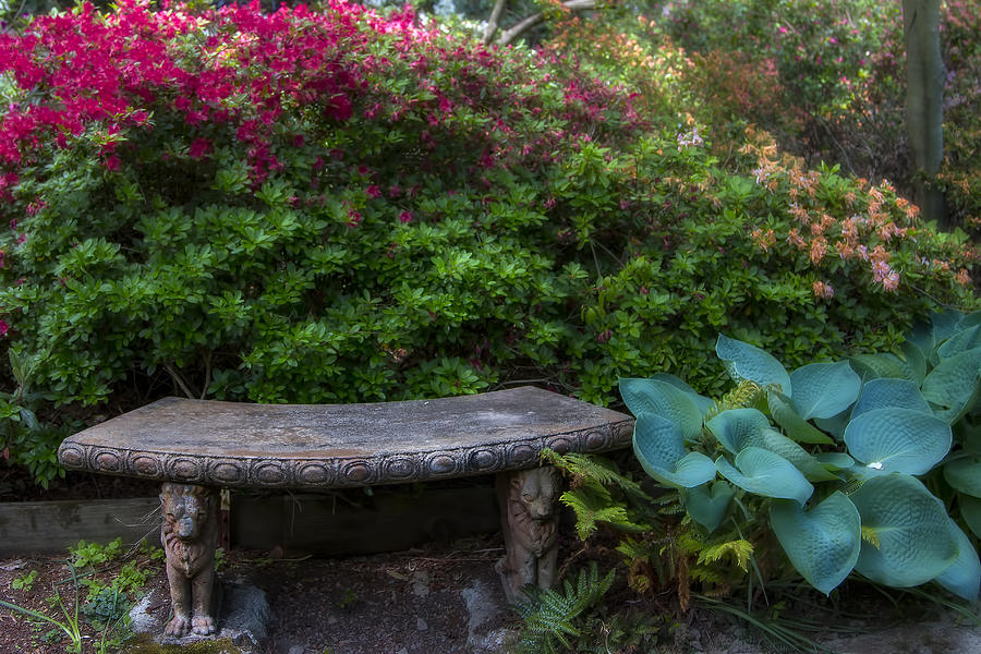 Bench In The Garden Photograph by Garry Gay