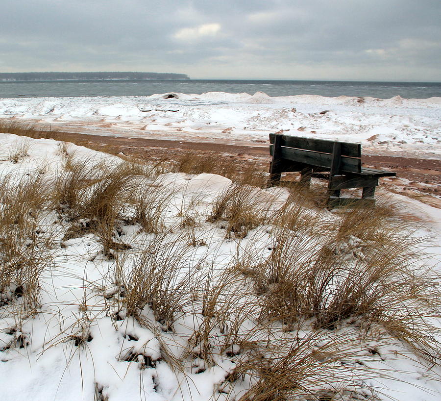 Bench in Winter Photograph by A K Dayton