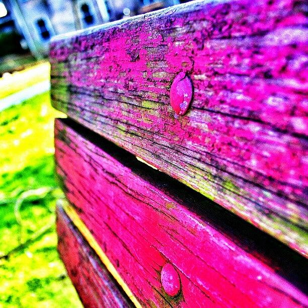 Winter Photograph - #bench Needs A New #coat #red #paint by Antonio DeFeo