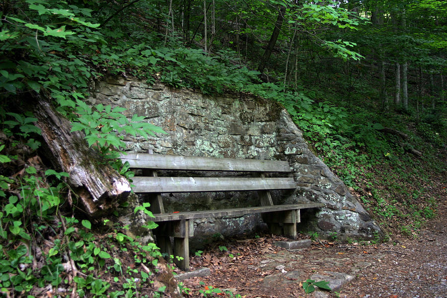 Bench On Mountain Hiking Trail Photograph By Ron Schock - Pixels