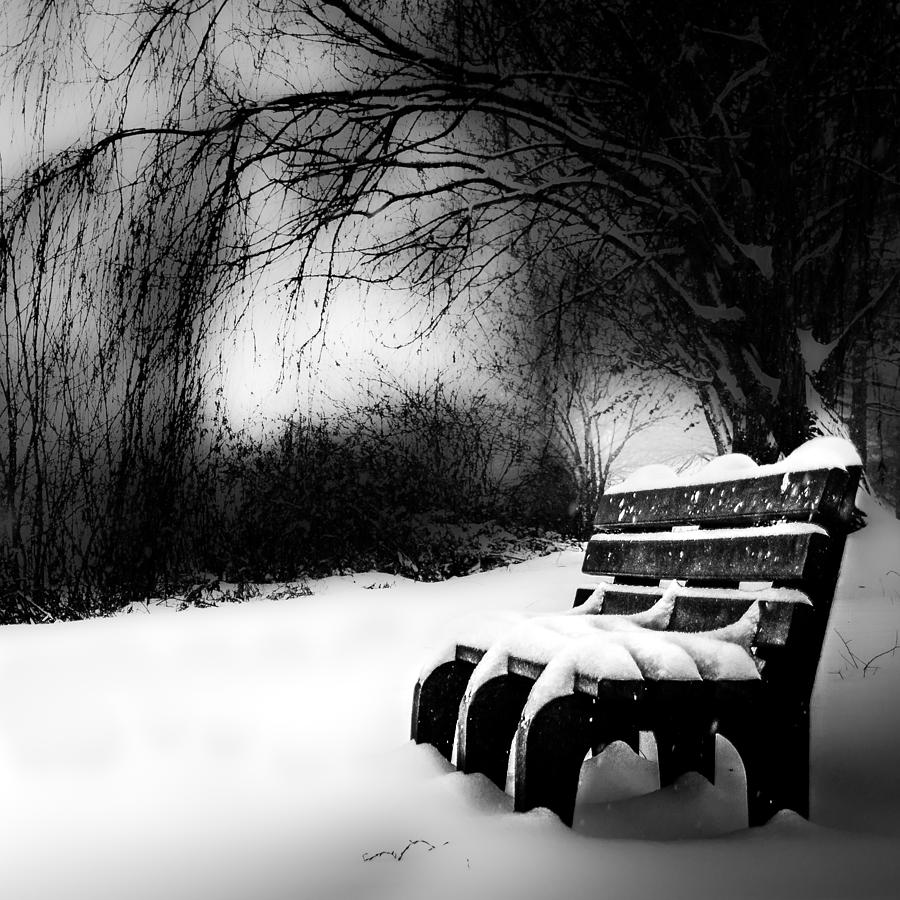 Bench On The Riverside Photograph by Michael Arend
