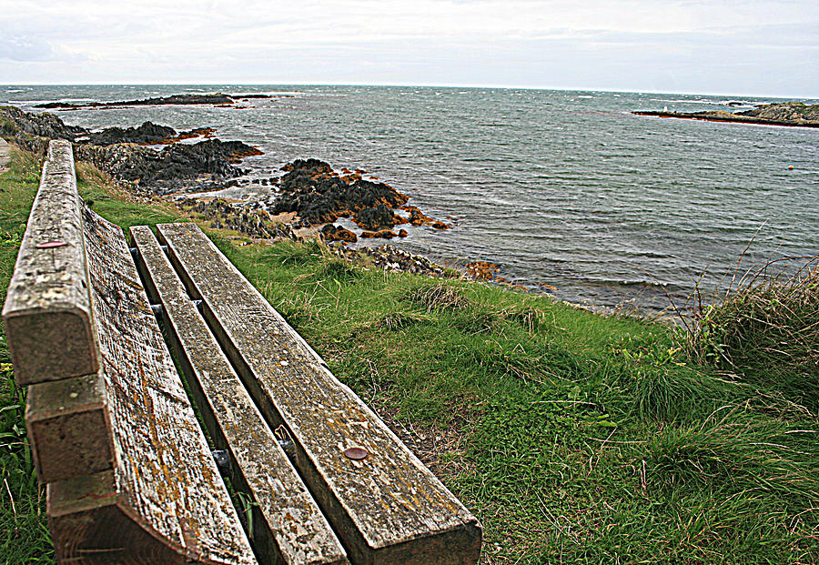 Bench Overlooking the Sea in North Wales Photograph by Georgia Clare