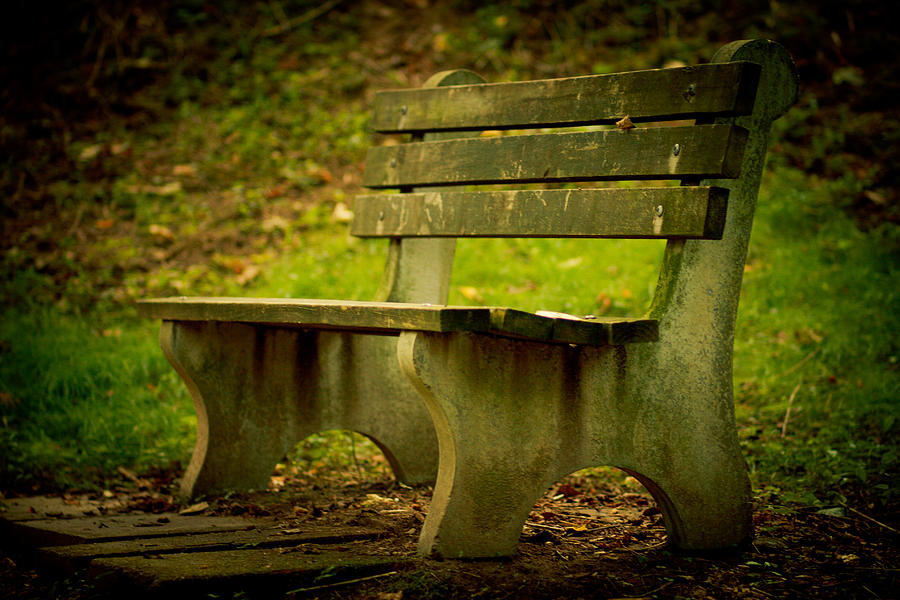 Bench Photograph by Shane Holsclaw