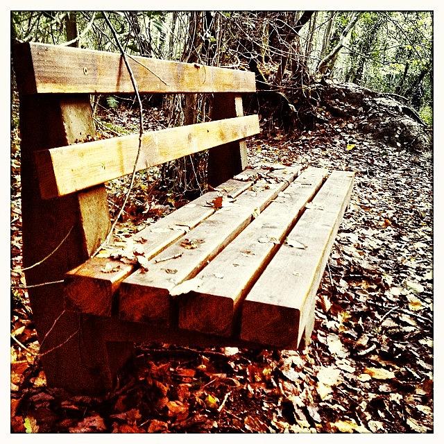 Fall Photograph - Bench Time. #autumn by David Lynch