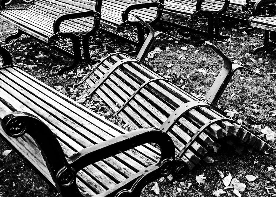 Bench Unlimited Photograph