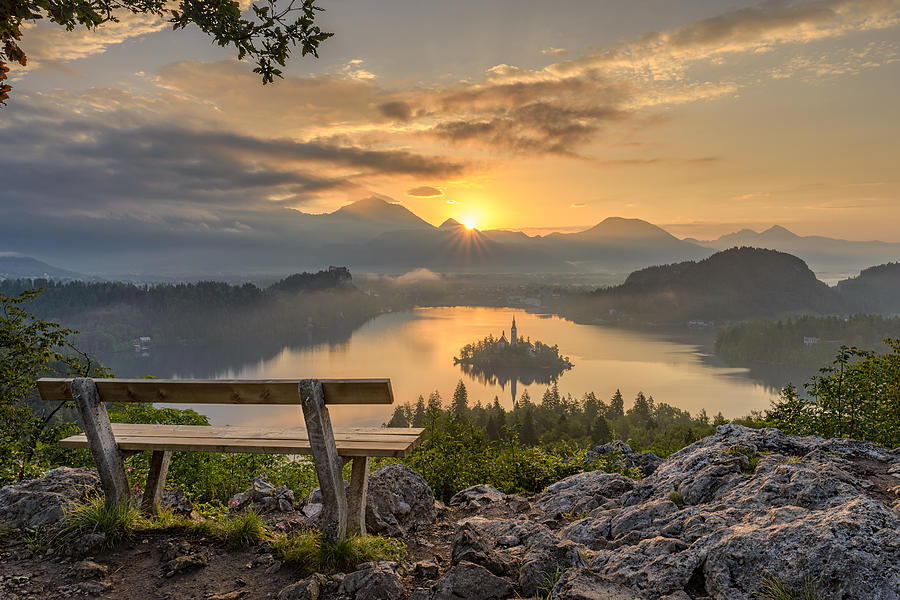 Bench with a view Photograph by Robert Krajnc