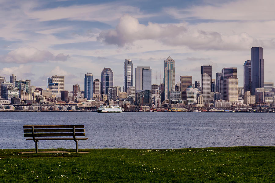 Bench with a View Photograph by Dan Mihai