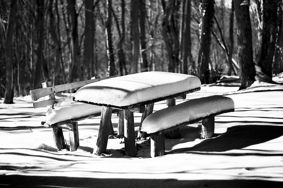 Winter Photograph - Bench with snow in forest by Newnow Photography By Vera Cepic
