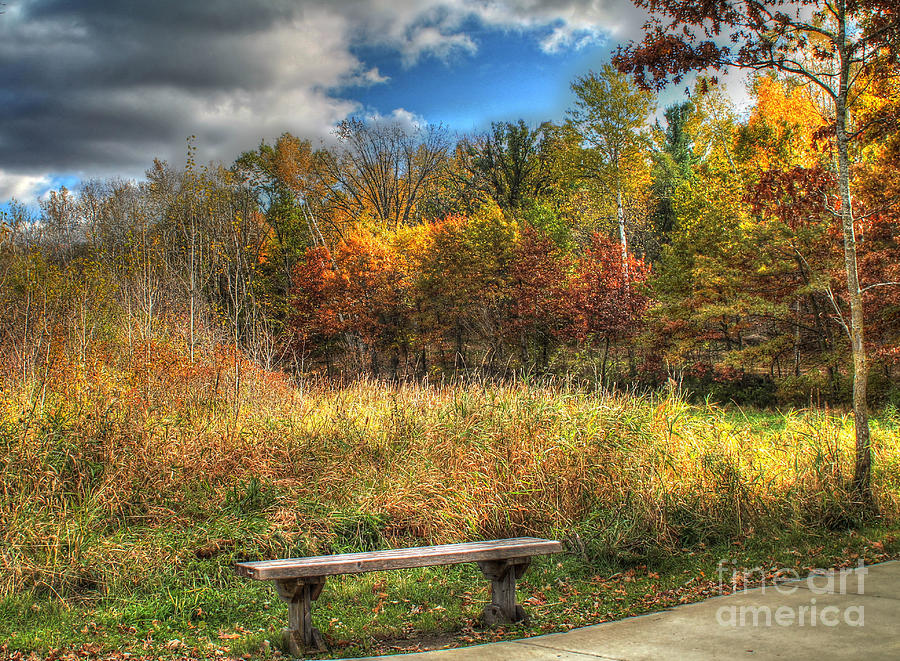 Benched in Autumn Photograph by Jimmy Ostgard