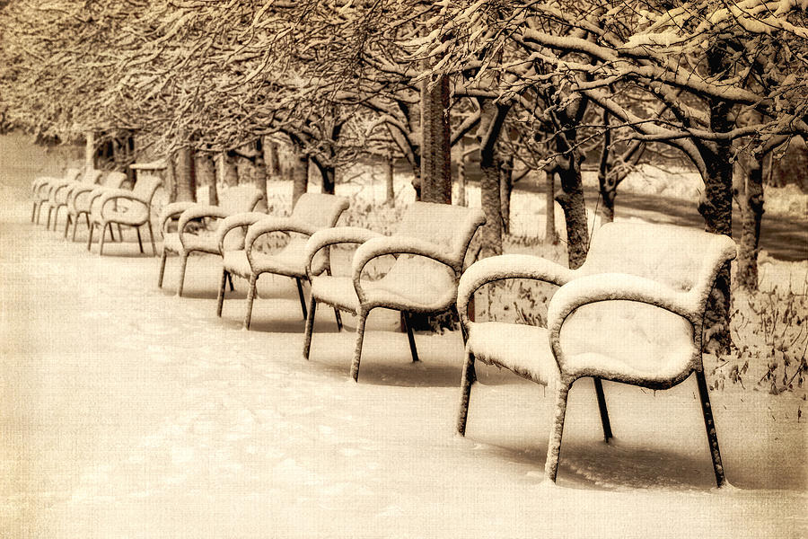 Benches at Cancer Survivors Plaza - Downtown Chicago - Sepia  Photograph by Photography  By Sai