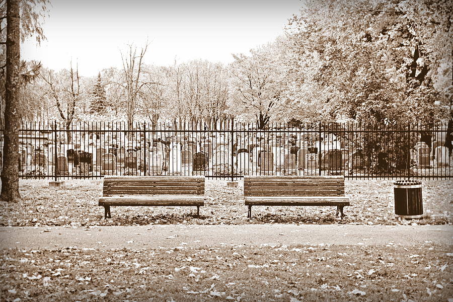 Fall Photograph - Benches by the Cemetery in Sepia by Valentino Visentini