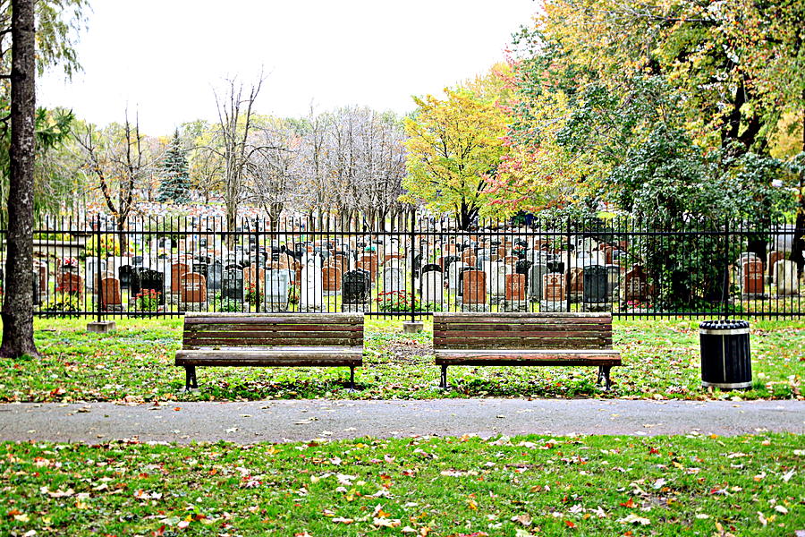 Fall Photograph - Benches by the Cemetery by Valentino Visentini