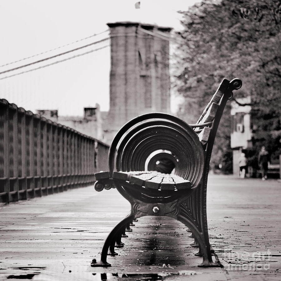 Black And White Photograph - Benchs Circles and Brooklyn Bridge - Brooklyn Heights Promenade - New York City by Carlos Alkmin