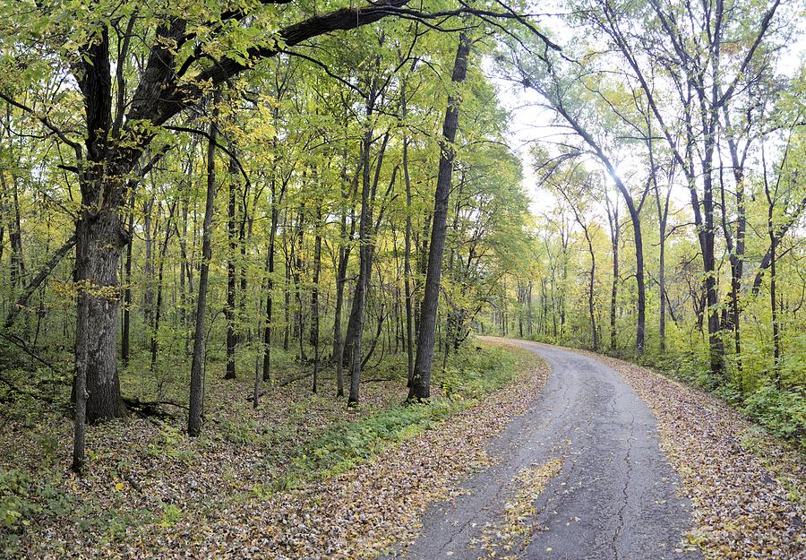 Bend in the Road Photograph by Bonfire Photography
