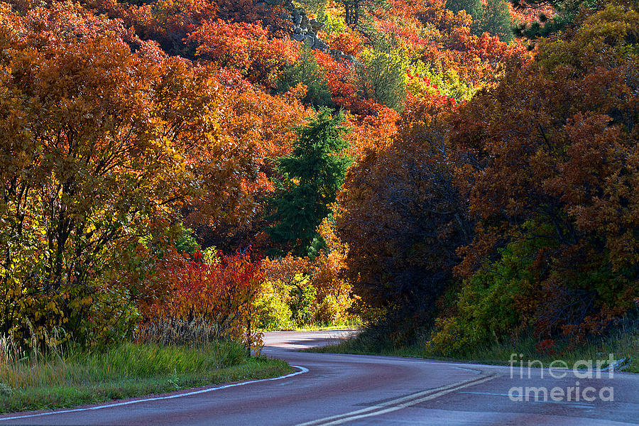 Autumn Leaves Photograph - Bend in the Road by Jim Garrison