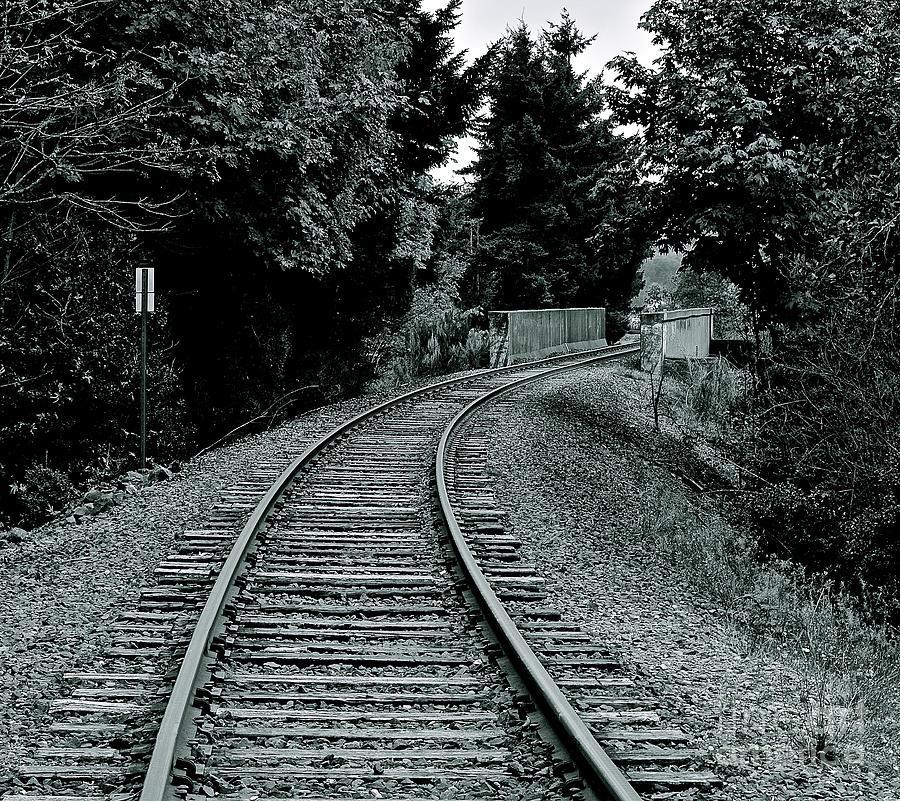 Bending Rails of Washington State Photograph by Lisa Telquist - Fine ...