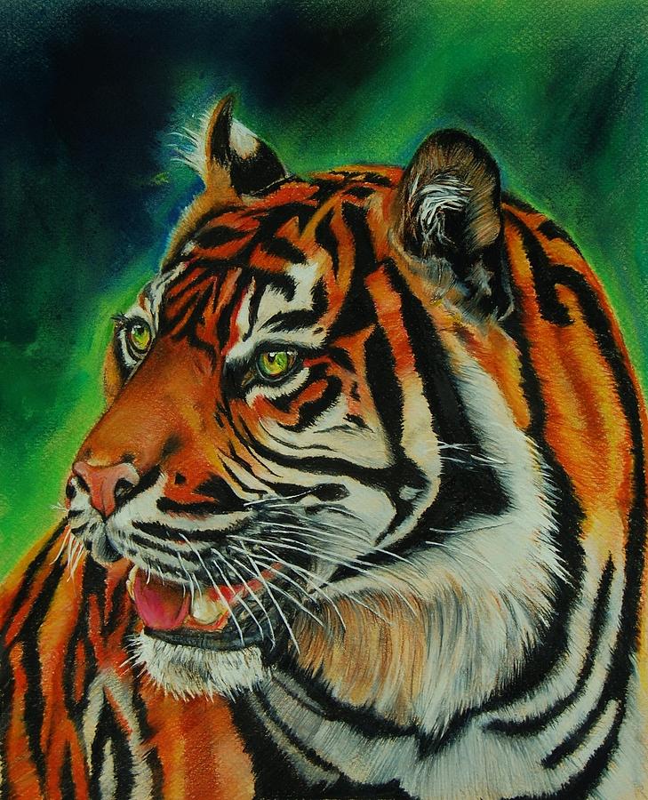 Bengal Pastel by Jean Cormier