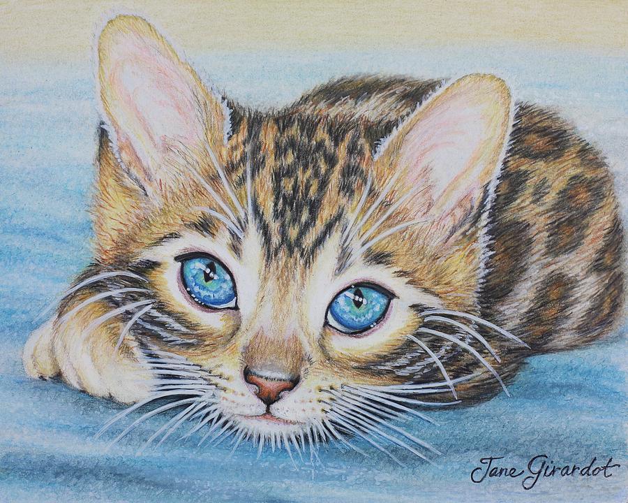 Bengal Kitten Drawing by Jane Girardot