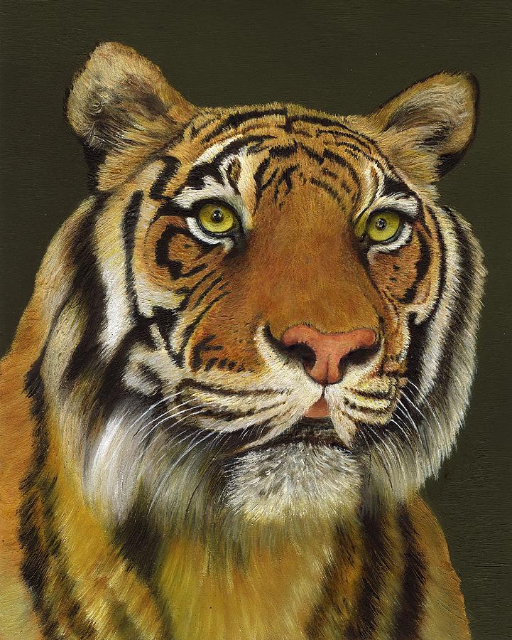 Nature Painting - Bengal Tiger by Dana Spring Parish