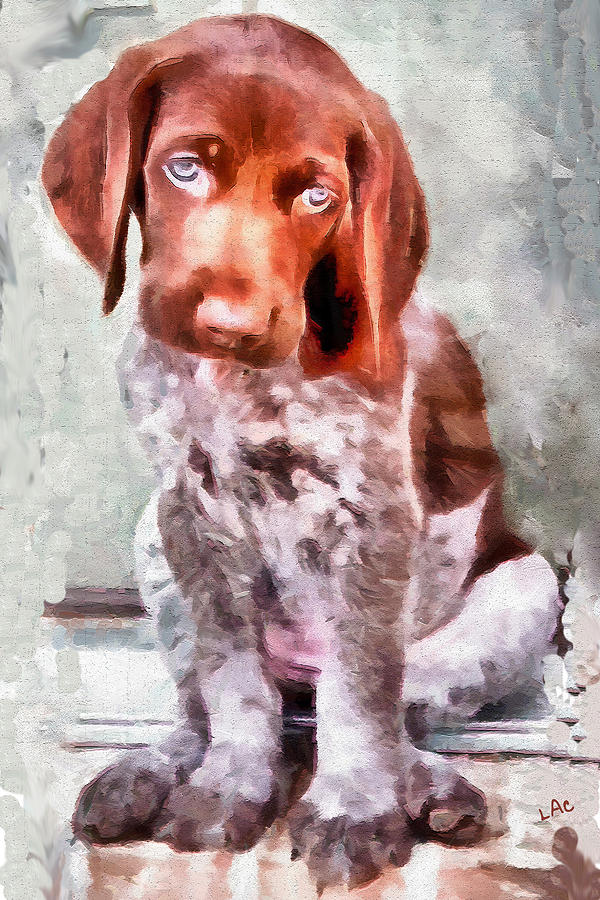 Benny  - German Short Hair Pointer Painting by Doggy Lips
