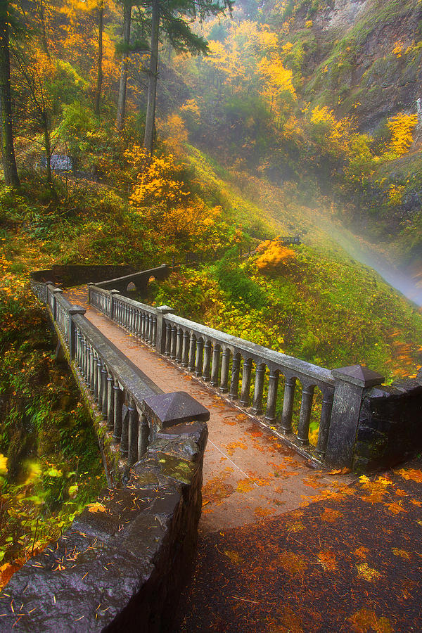 Benson Bridge Fall Colors Photograph by Darren White