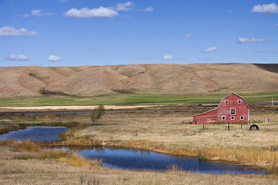 Bent Barn Photograph by Scott Gilbertson - Fine Art America