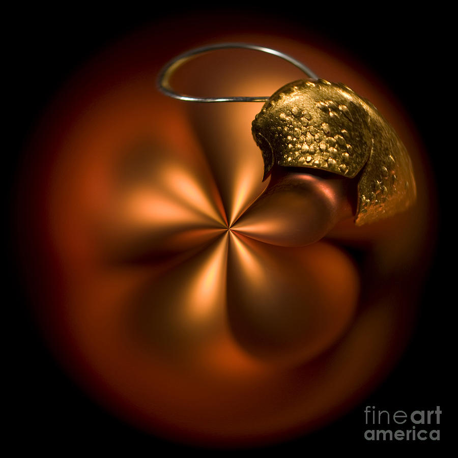 Bent Bauble Photograph by Anne Gilbert