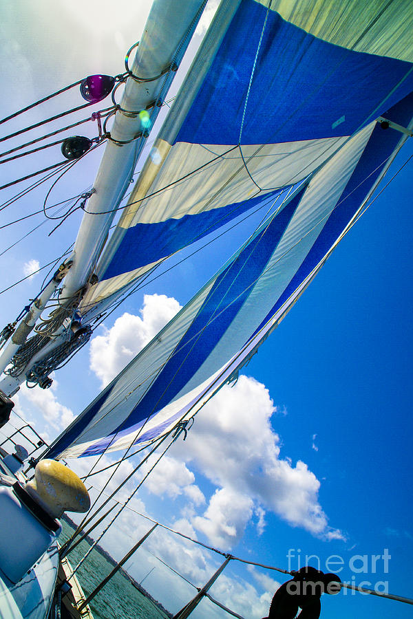 Bent Over Sailing Photograph by Rick Bragan