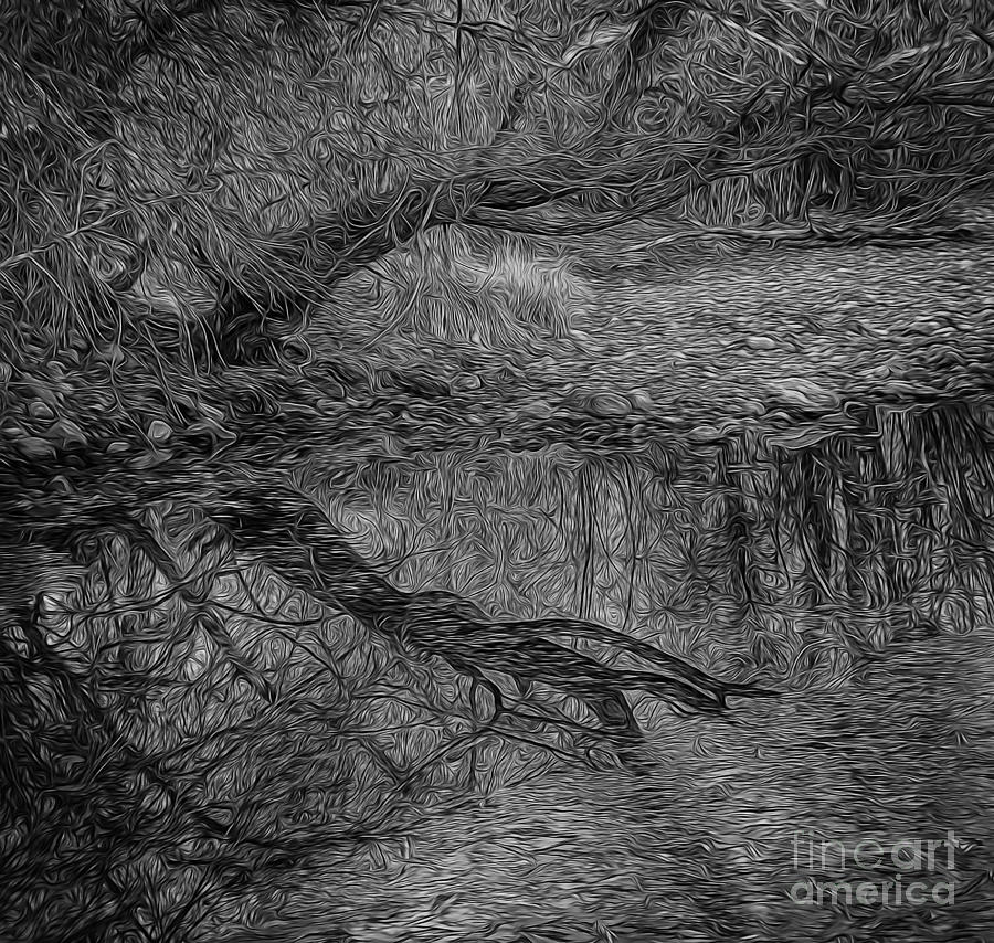 Bent Tree Reflection In Paint Bw Photograph