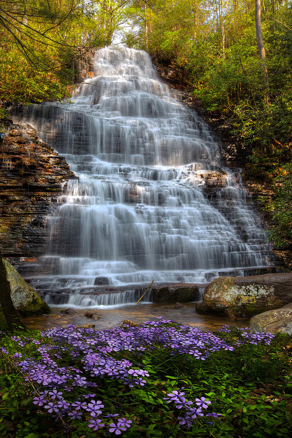 Appalachia Photograph - Benton Falls in Spring by Debra and Dave Vanderlaan