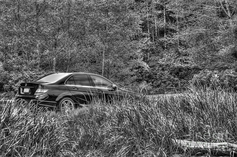 Benz Stalking its Prey Photograph by Phillip Garcia