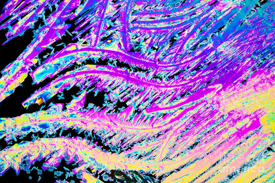 Benzoic acid microcrystal abstract color art Photograph by Stephan Pietzko