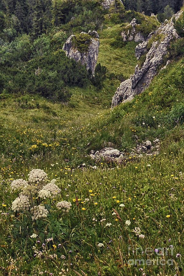 Berchtesgaden National Park Germany Photograph by Gerlinde Keating - Galleria GK Keating Associates Inc