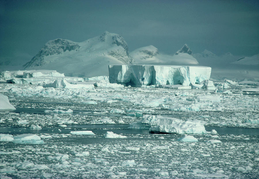 Bergs And Pack-ice Off The Coast Of The Antarctic Photograph by Simon Fraser/science Photo Library
