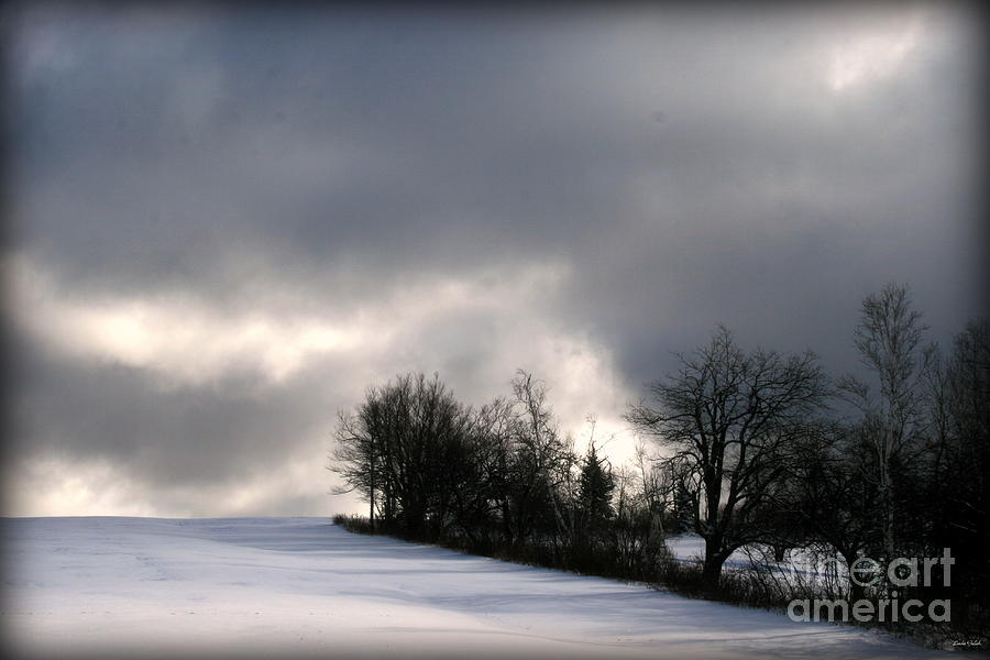 Berkshire Winter 1 Photograph