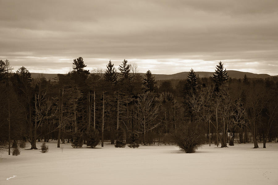 Berkshires Winter 1 - Massachusetts Photograph by Madeline Ellis