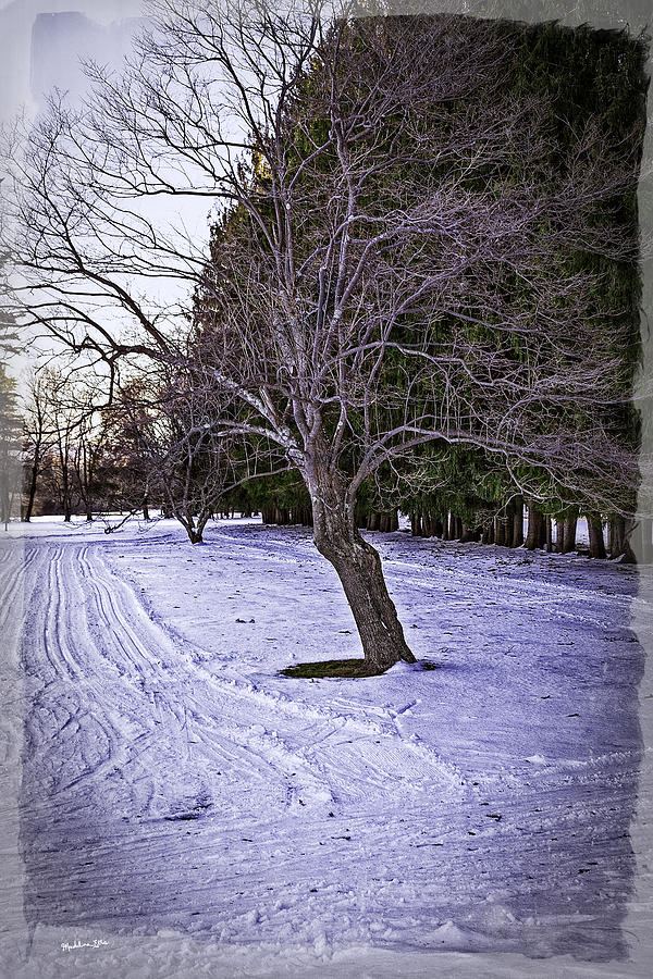 Berkshires Winter 2 - Massachusetts #2 Photograph by Madeline Ellis