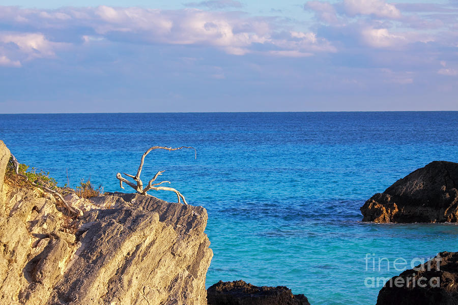 Bermuda Coast Photograph by Charline Xia