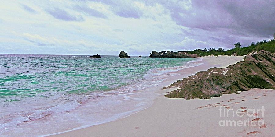 Bermuda Pink Prints in the Sand Photograph by Shelia Kempf