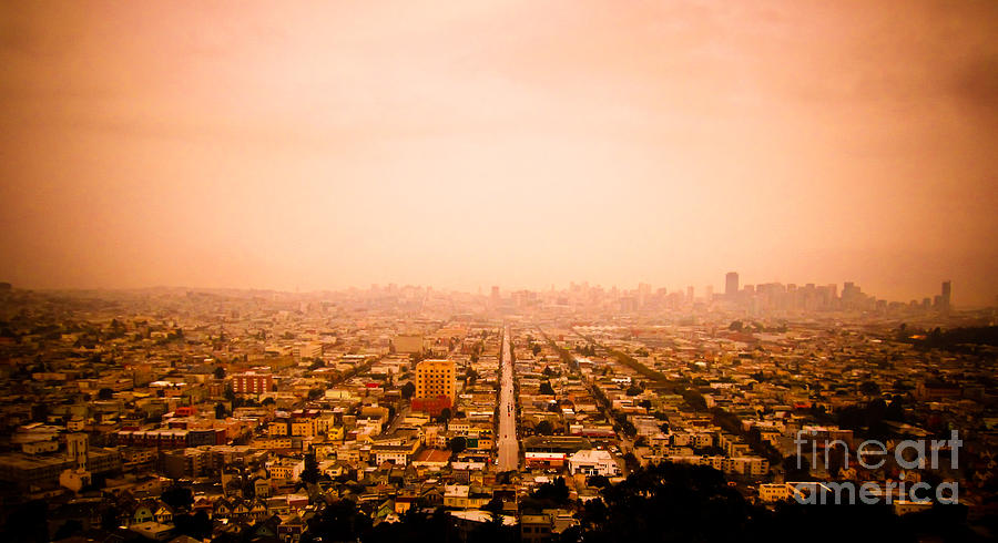 San Francisco Photograph - Bernalwood by Dan Julien